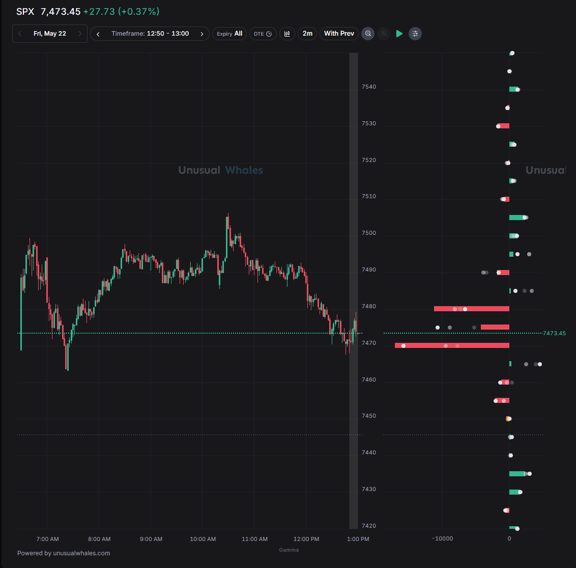 Unusual Whales dashboard screenshot